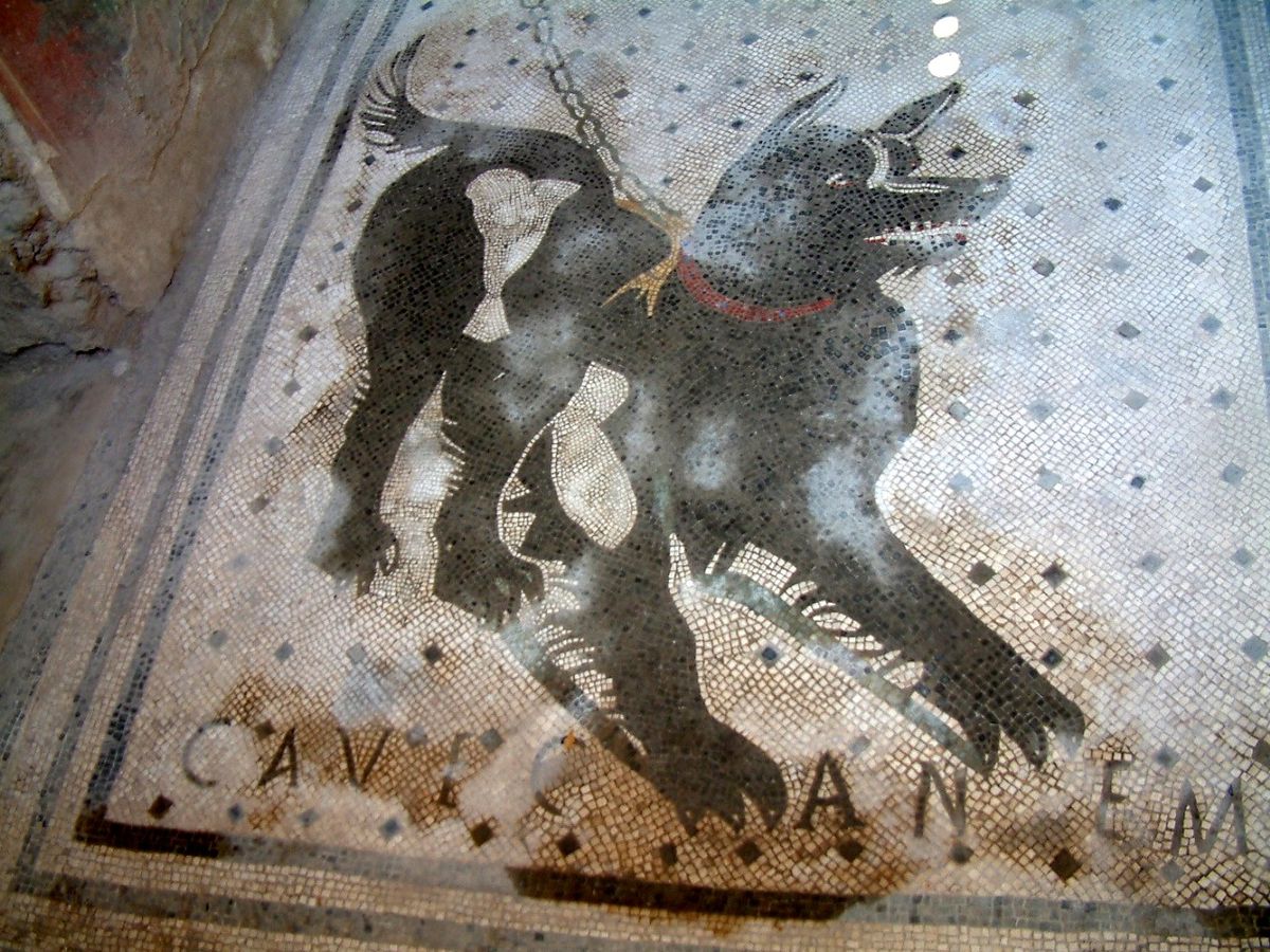 Episode 12 - Barkaeology: A Brief History of Dogs